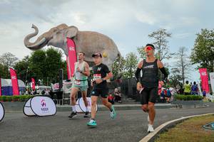 BIB: 
                            <button type="button" onclick="openModal(26528804)" class="btn btn-primary btn-sm float-right btn-popup" data-toggle="modal" data-target=".modal-high-quality">
                        <i class="fas fa-shopping-cart"></i> Add to Cart
                    </button>
                                            <button type="button" onclick="isThisMe(26528804, true)" class="btn btn-success btn-sm float-right btn-popup btn-isme hidden" data-toggle="tooltip" data-placement="bottom" title="นี่คือรูปของคุณใช่ไหม คลิกที่นี่เพื่อเอาเข้าอัลบั้ม">
                        <i class="fas fa-plus"></i> Add to album
                    </button>
                    <button type="button" onclick="isThisMe(26528804, false)" class="btn btn-warning btn-sm float-right btn-popup btn-isnotme hidden">
                        <i class="fas fa-ban"></i> Remove from album
                    </button>